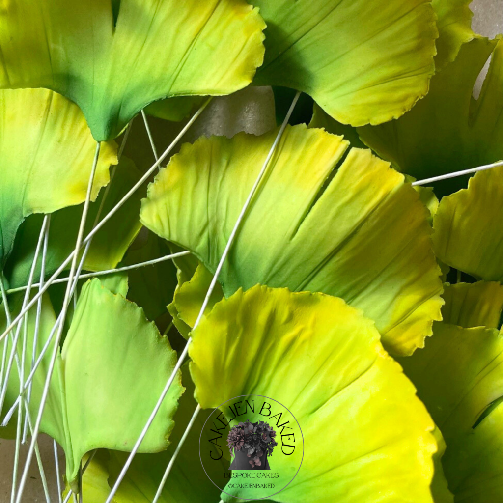 Sugar ginkgo leaves