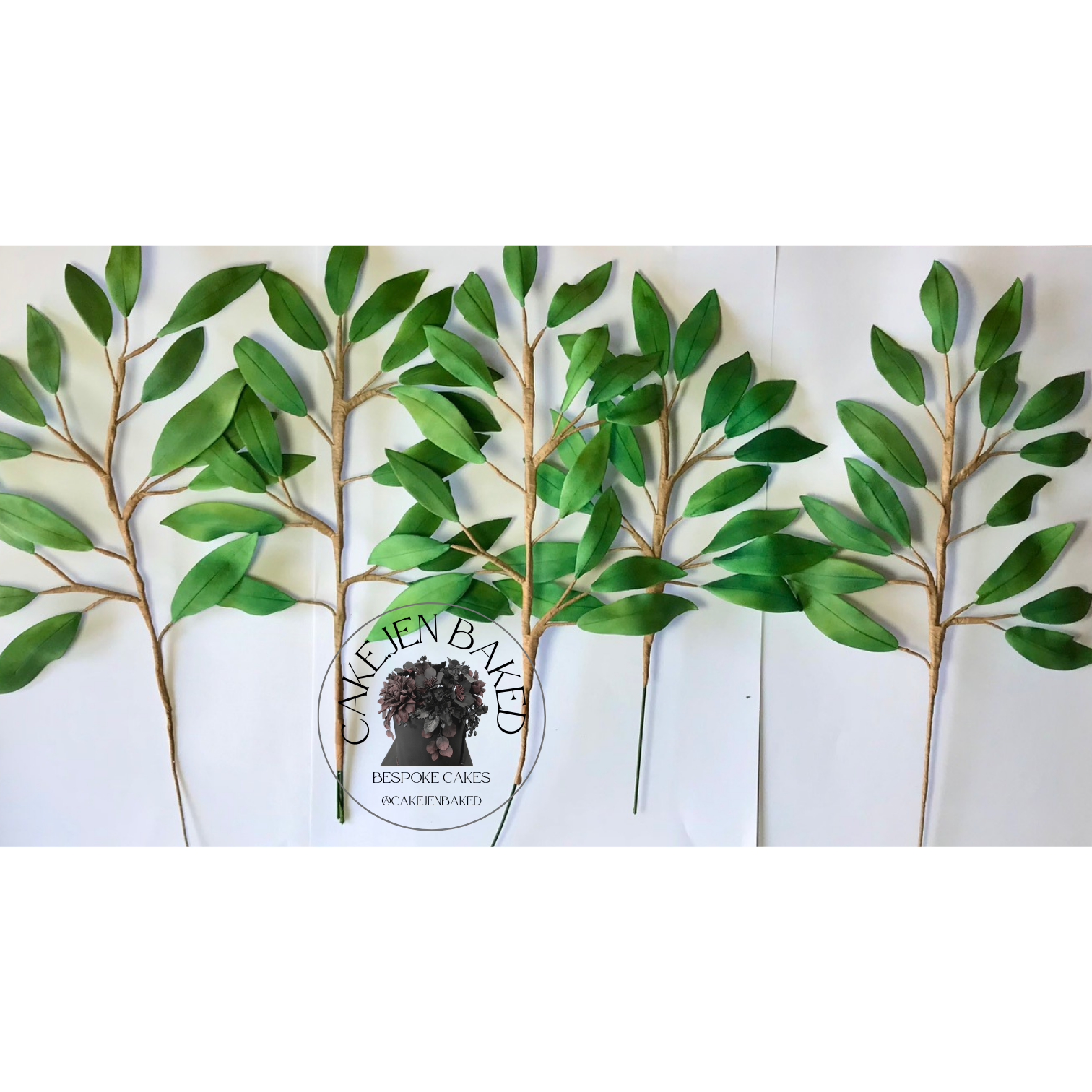 Sugar willow branches