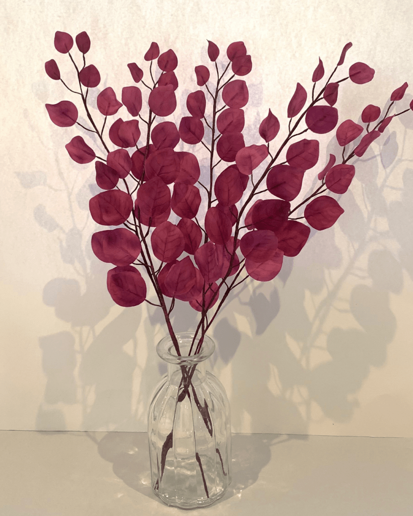 Sugar foliage autumnal smoke bush